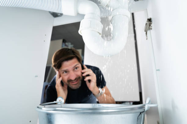 Best Shower Repair Services  in Dyer, IN