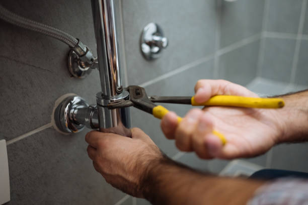 Best Shower Repair Services  in Dyer, IN